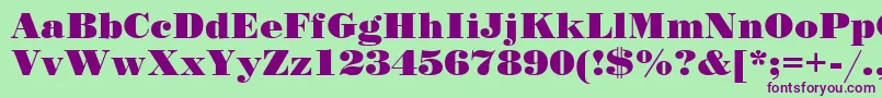 StandardposterCyrillic Font – Purple Fonts on Green Background