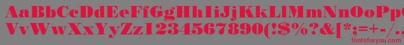 StandardposterCyrillic Font – Red Fonts on Gray Background