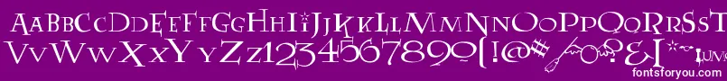 LUMOS Font – White Fonts on Purple Background