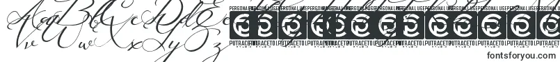 Lusya Free Font – Wide Fonts
