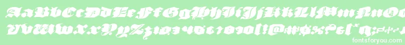 luxcontratenebrasexpandital Font – White Fonts on Green Background