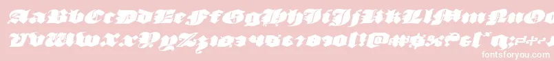 luxcontratenebrasexpandital Font – White Fonts on Pink Background