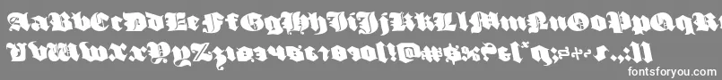 luxcontratenebrasleft-Schriftart – Weiße Schriften auf grauem Hintergrund