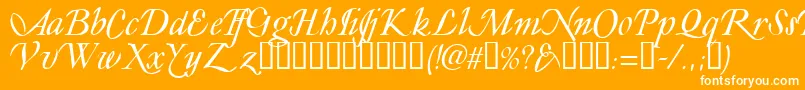 LY      -Schriftart – Weiße Schriften auf orangefarbenem Hintergrund