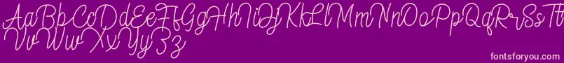 lydia Font – Pink Fonts on Purple Background