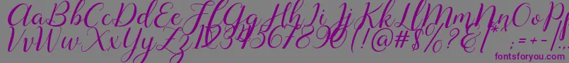 Lysandra demo-Schriftart – Violette Schriften auf grauem Hintergrund