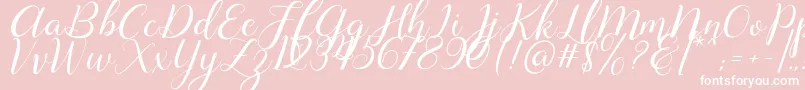 Lysandra demo-Schriftart – Weiße Schriften auf rosa Hintergrund