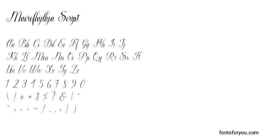 Schriftart Macrofhyllya Script – Alphabet, Zahlen, spezielle Symbole