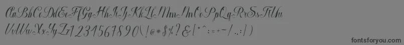 Macrofhyllya Script-fontti – mustat fontit harmaalla taustalla