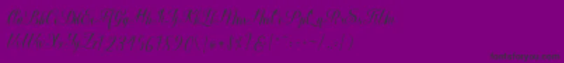 フォントMacrofhyllya Script – 紫の背景に黒い文字
