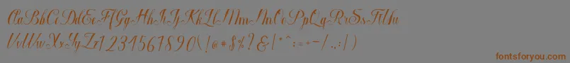 Macrofhyllya Script-fontti – ruskeat fontit harmaalla taustalla