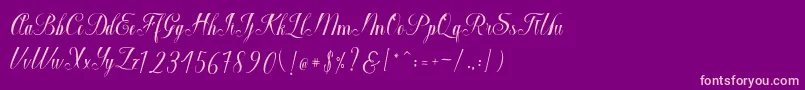 Macrofhyllya Script Font – Pink Fonts on Purple Background