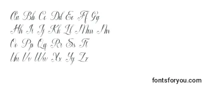 Macrofhyllya Script-fontti