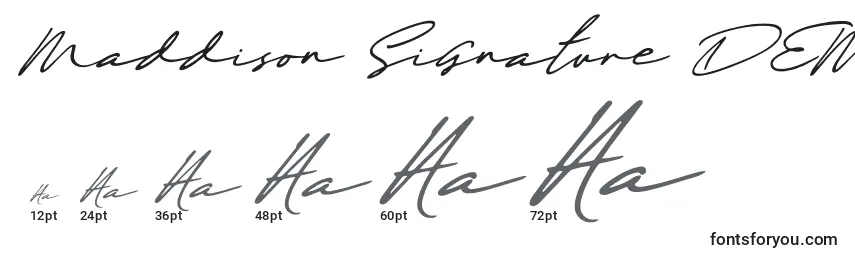 Größen der Schriftart Maddison Signature DEMO