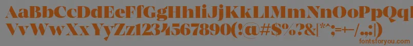 MADE Coachella Black PERSONAL USE-Schriftart – Braune Schriften auf grauem Hintergrund