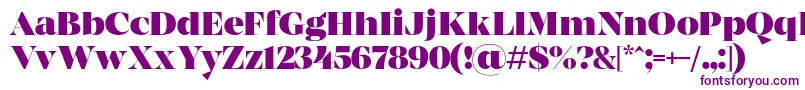 MADE Coachella Black PERSONAL USE Font – Purple Fonts on White Background