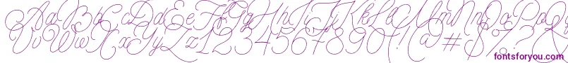 MADE Florence Script PERSONAL USE Font – Purple Fonts on White Background