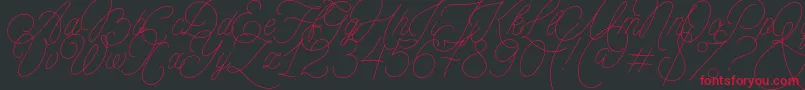 MADE Florence Script PERSONAL USE Font – Red Fonts on Black Background