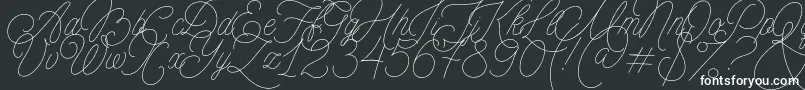 フォントMADE Florence Script PERSONAL USE – 黒い背景に白い文字