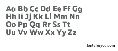 Review of the MADE Future X Bold PERSONAL USE Font