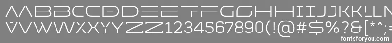 MADE Future X HEADER Light PERSONAL USE Font – White Fonts on Gray Background