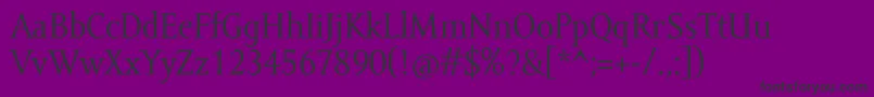 AmorSerifPro Font – Black Fonts on Purple Background