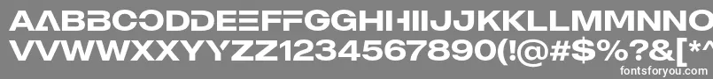 More about MADE Outer Sans Alt Medium PERSONAL USE Font MADE Outer Sans Alt Medium PERSONAL USE Font – White Fonts on Gray Background