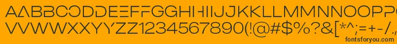 Lisätietoja MADE Outer Sans Alt Thin PERSONAL USE-fontista MADE Outer Sans Alt Thin PERSONAL USE-fontti – mustat fontit oranssilla taustalla