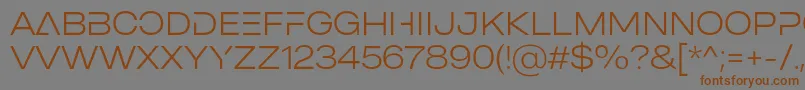 MADE Outer Sans Alt Thin PERSONAL USE-Schriftart – Braune Schriften auf grauem Hintergrund