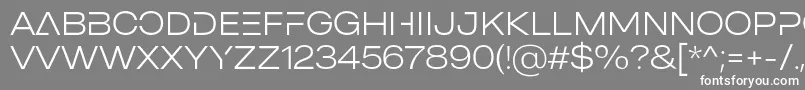 MADE Outer Sans Alt Thin PERSONAL USE Font – White Fonts on Gray Background