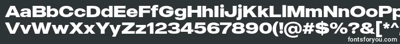 MADE Outer Sans Bold PERSONAL USE Font – White Fonts on Black Background