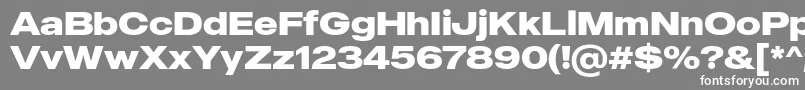 MADE Outer Sans Bold PERSONAL USE Font – White Fonts on Gray Background