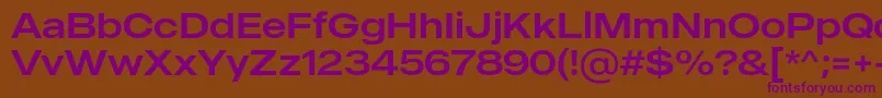 MADE Outer Sans Regular PERSONAL USE Font – Purple Fonts on Brown Background