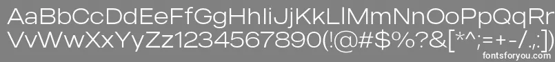 フォントMADE Outer Sans Thin PERSONAL USE – 灰色の背景に白い文字