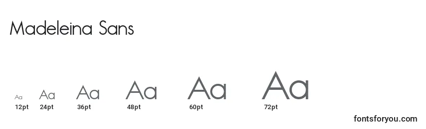 Размеры шрифта Madeleina Sans