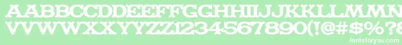 MADFONT Font – White Fonts on Green Background
