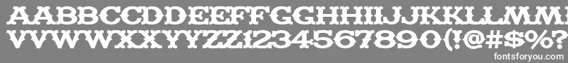 MADFT    Font – White Fonts on Gray Background