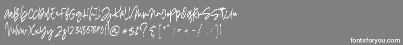 madigel free-Schriftart – Weiße Schriften auf grauem Hintergrund