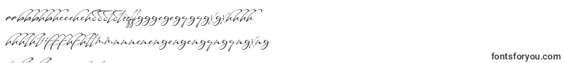 Maestro Signature-Schriftart – zulische Schriften