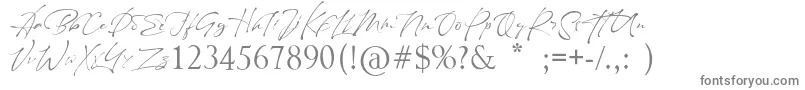 Maestro Signature-fontti – harmaat kirjasimet valkoisella taustalla