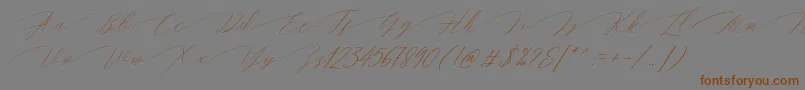 Magarella Script Font – Brown Fonts on Gray Background