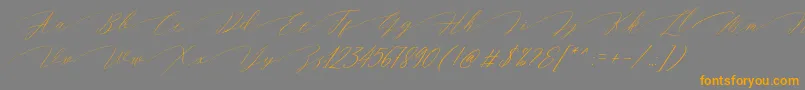 En savoir plus sur la police Magarella Script Police Magarella Script – polices orange sur fond gris