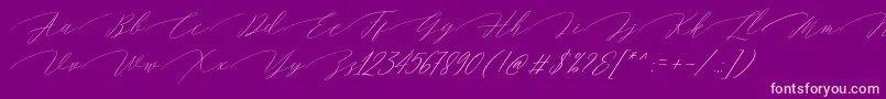 fuente Magarella Script – Fuentes Rosadas Sobre Fondo Morado
