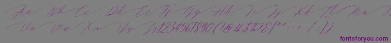 Magarella Script-fontti – violetit fontit harmaalla taustalla