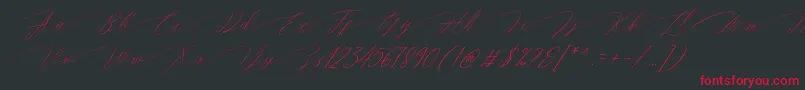 Magarella Script Font – Red Fonts on Black Background