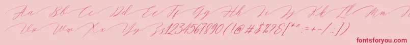 Magarella Script Font – Red Fonts on Pink Background