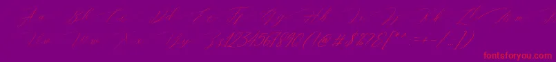 Police Magarella Script – polices rouges sur fond violet