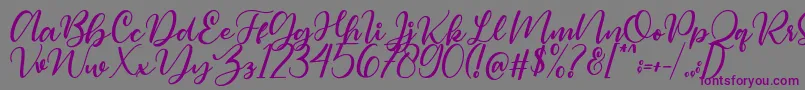 Magelove Font – Purple Fonts on Gray Background