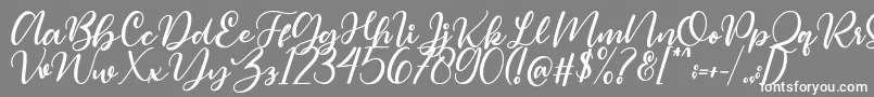 Magelove Font – White Fonts on Gray Background