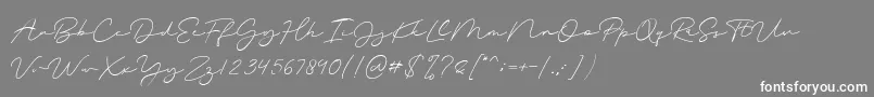 Magenta Demo Font – White Fonts on Gray Background